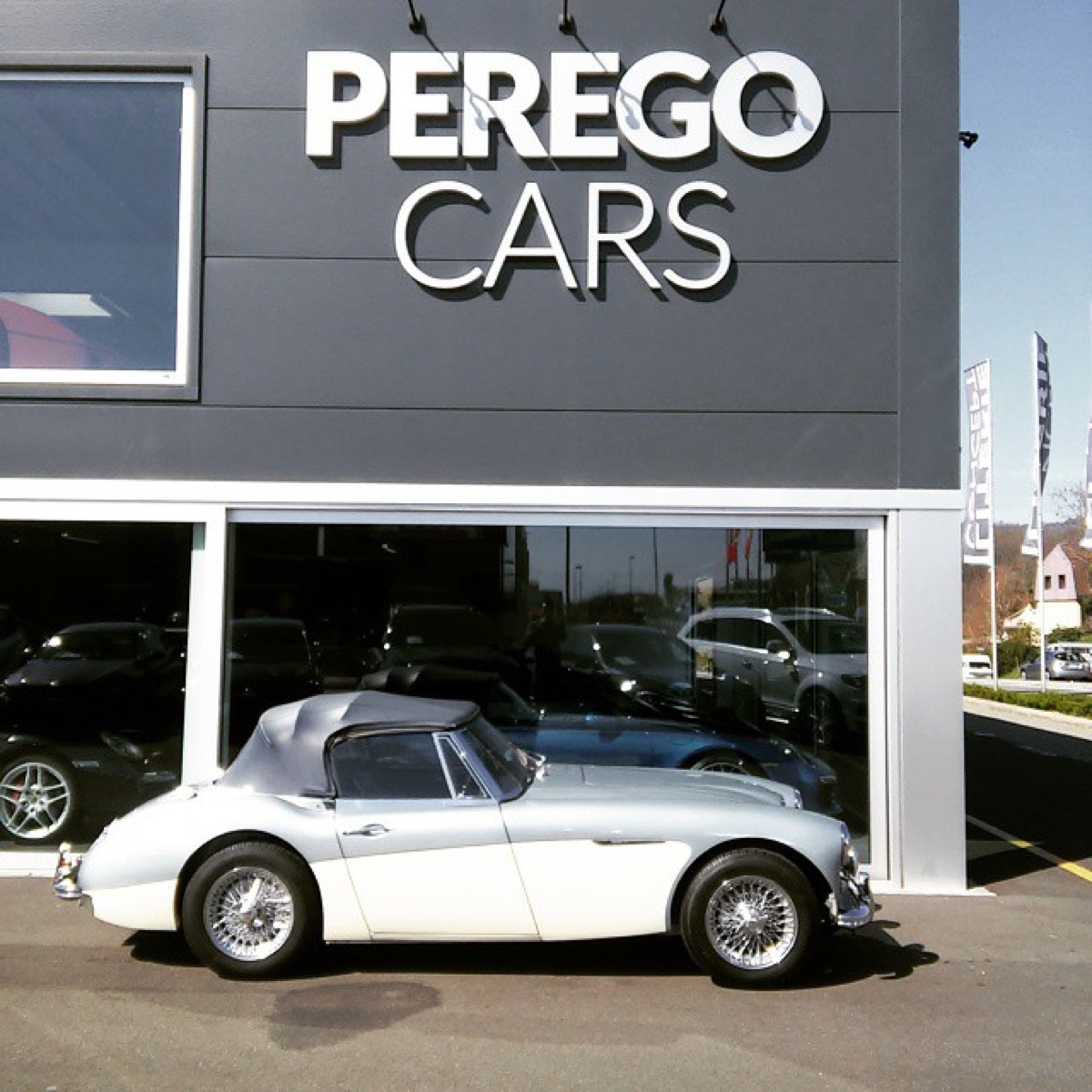 Moment Perego Cars
