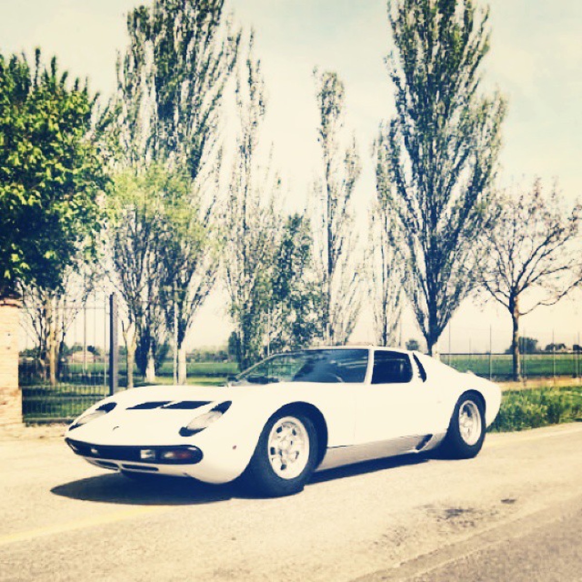 Lamborghini Miura P400 white