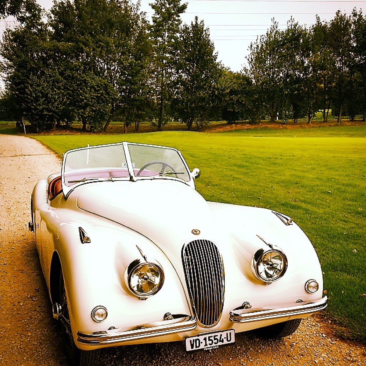 Jaguar XK120 white with