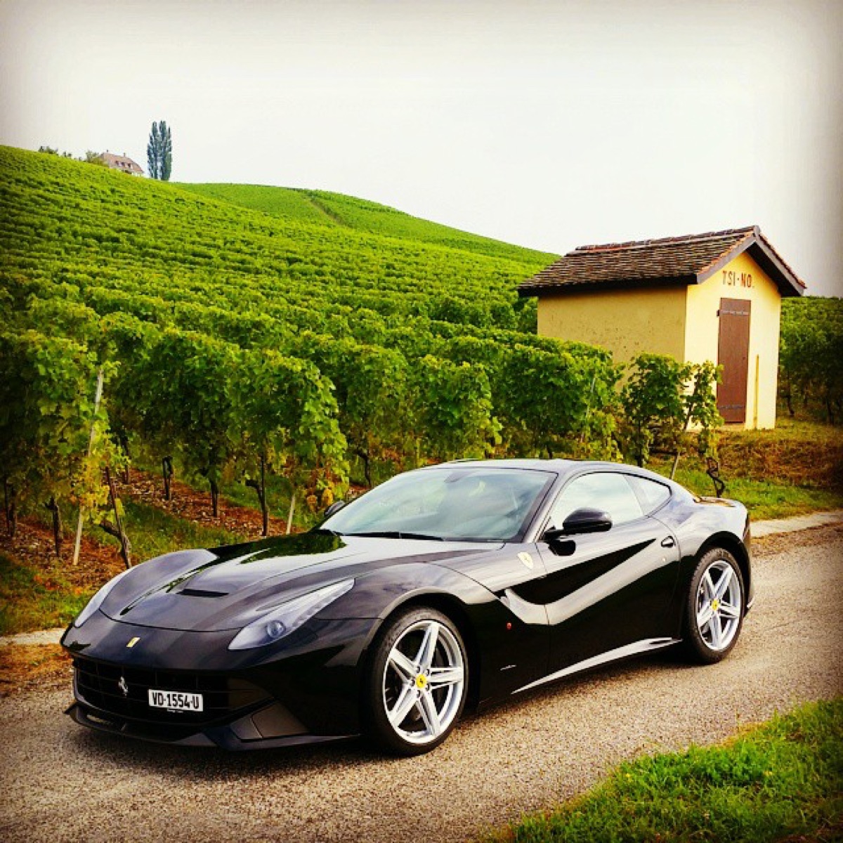 Ferrari F12