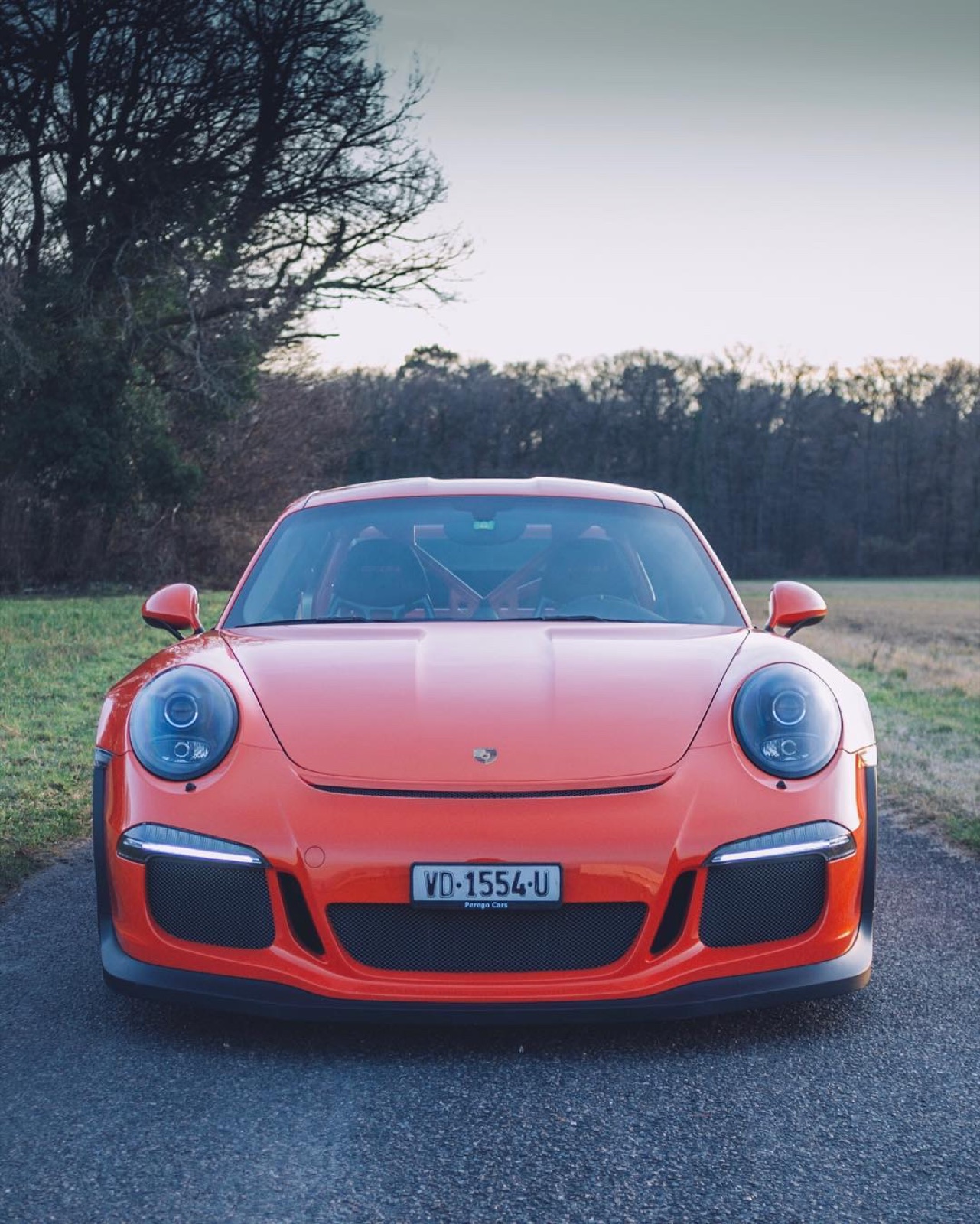 Porsche 911 GT3 RS (991)