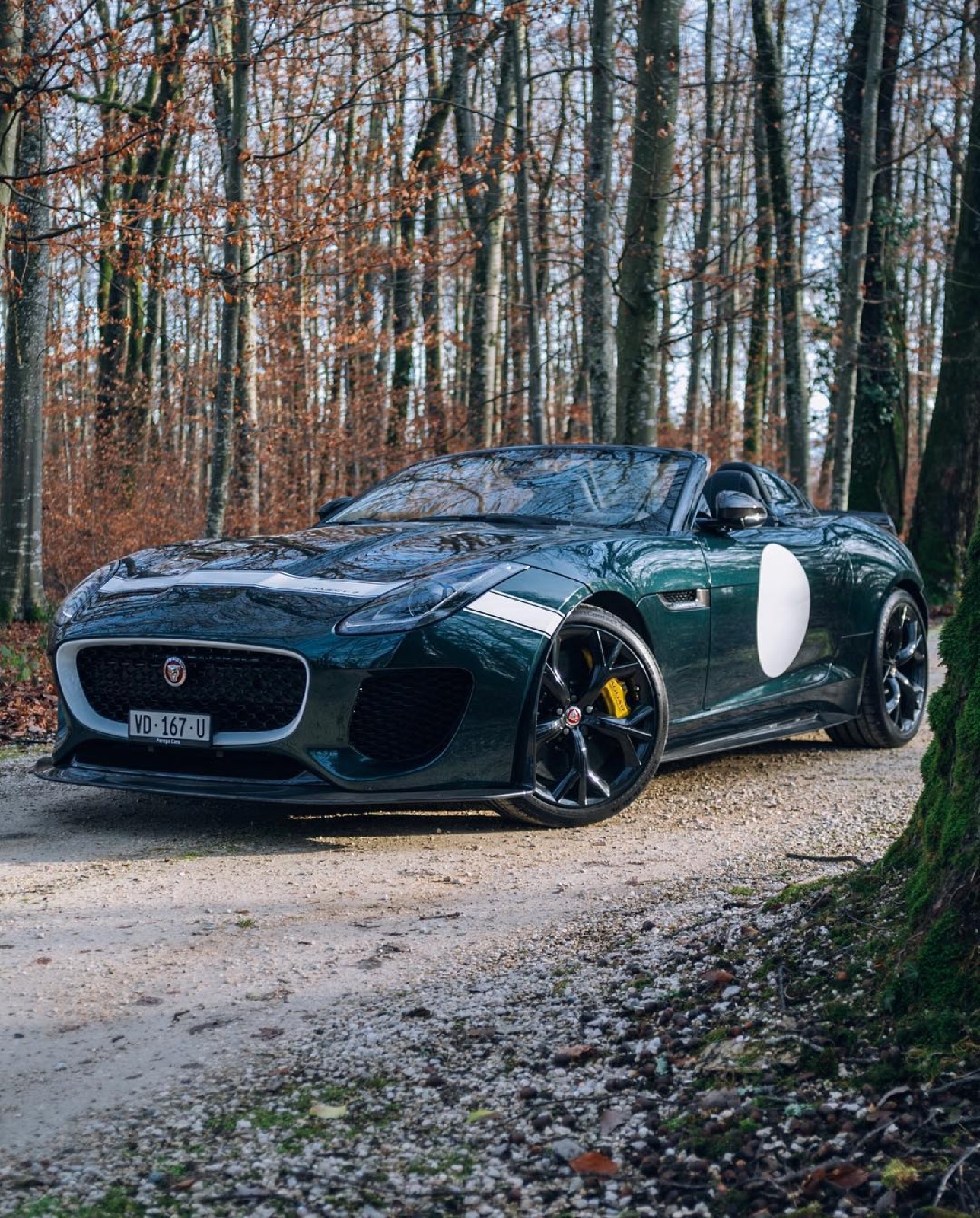 Jaguar F-Type Project 7