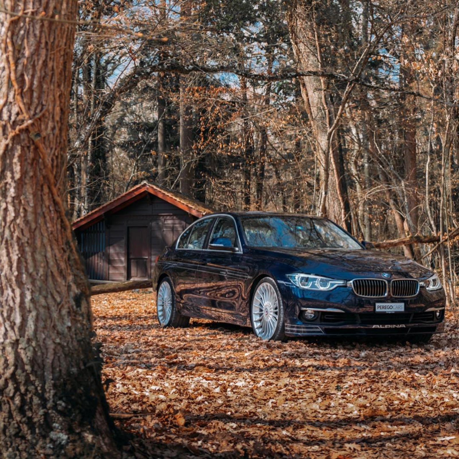 BMW Alpina B3 Biturbo (F30)