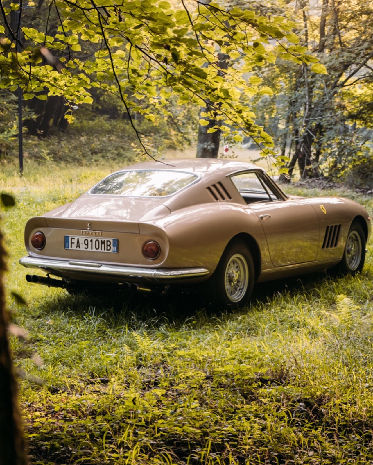 Ferrari 275 GTB
