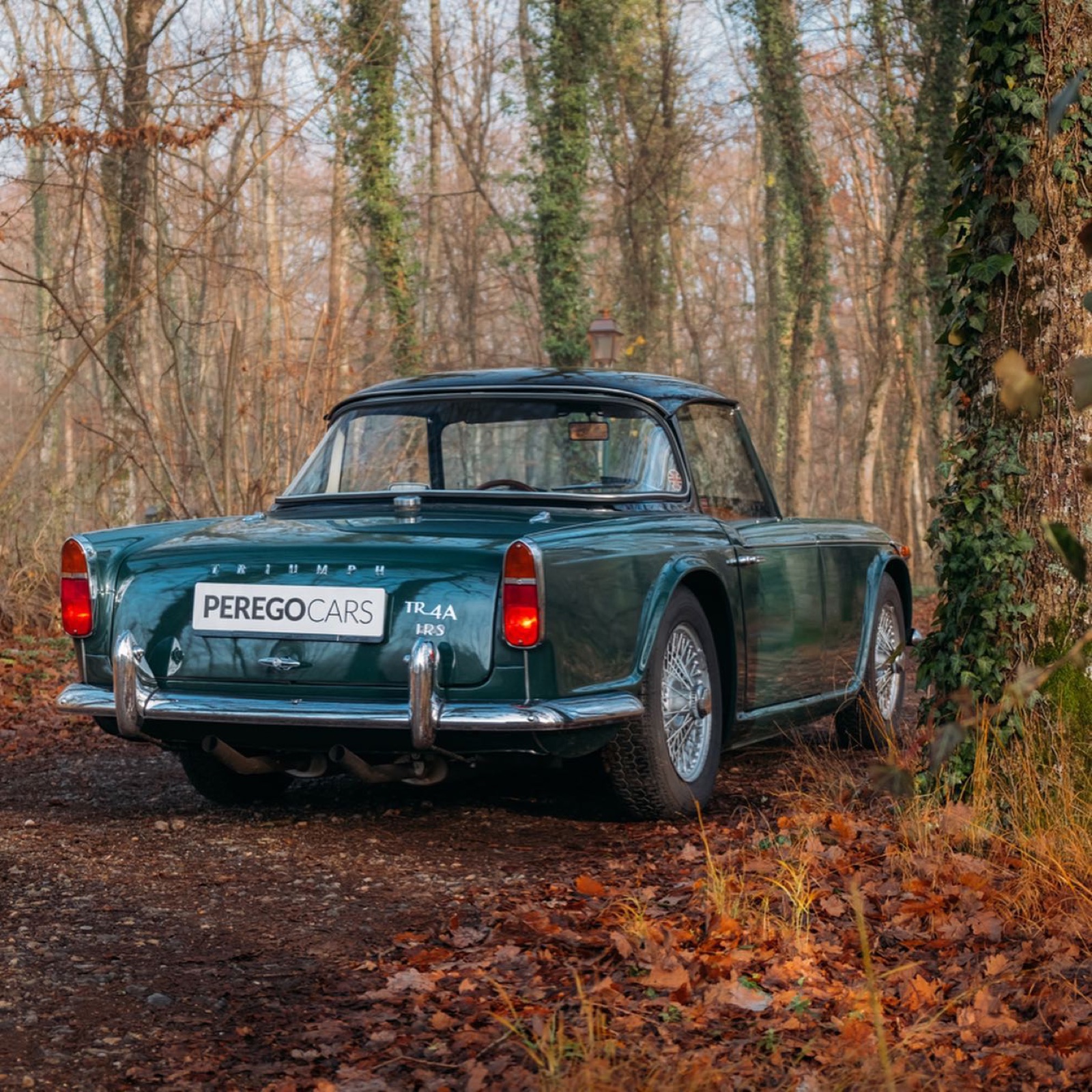 Triumph TR4A IRS