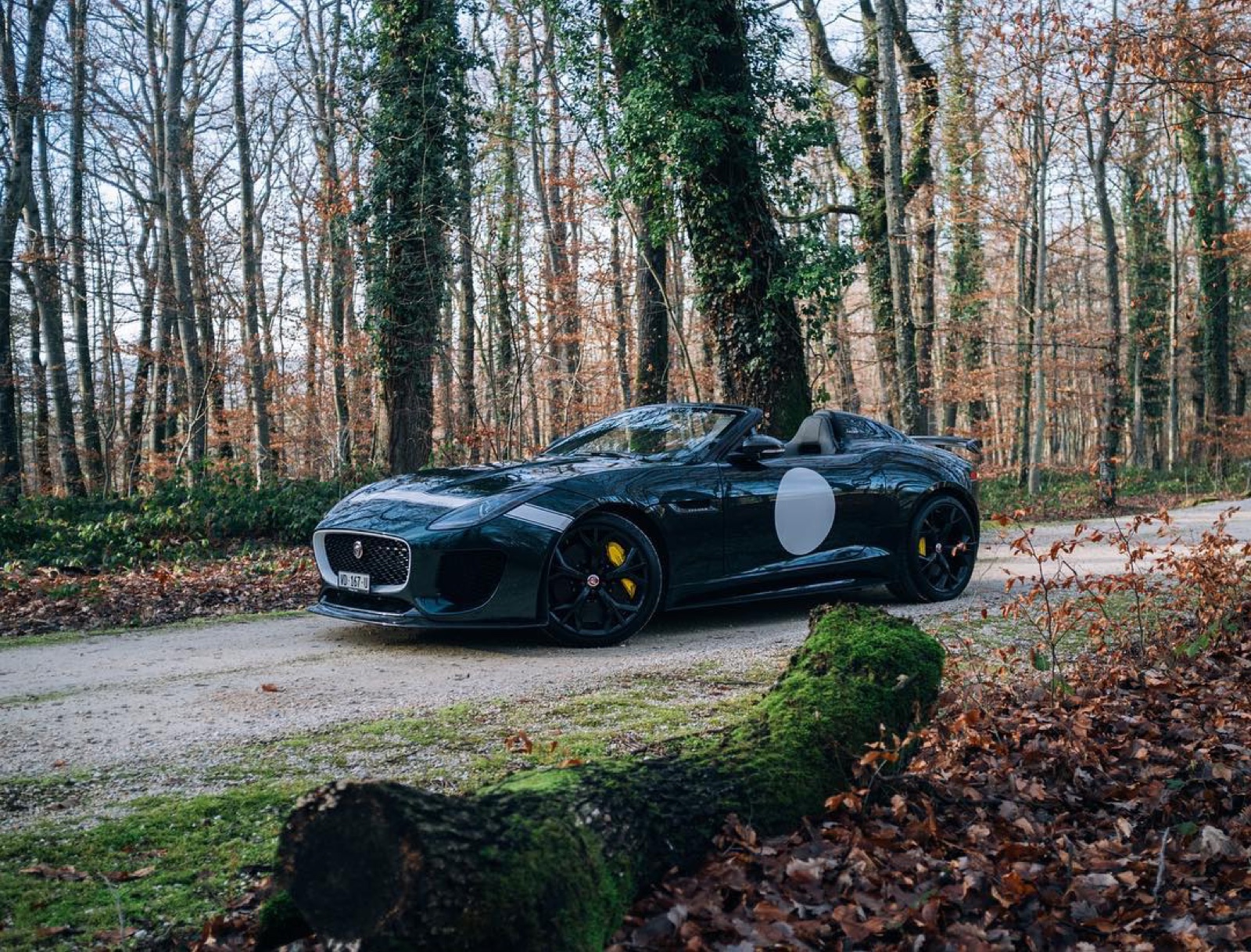 Jaguar F-Type Project 7