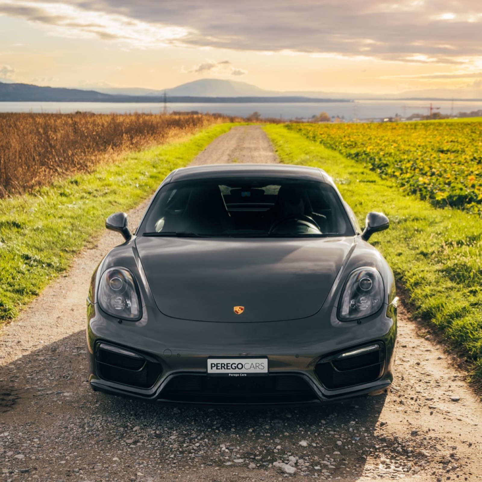 Porsche Cayman GTS (981)
