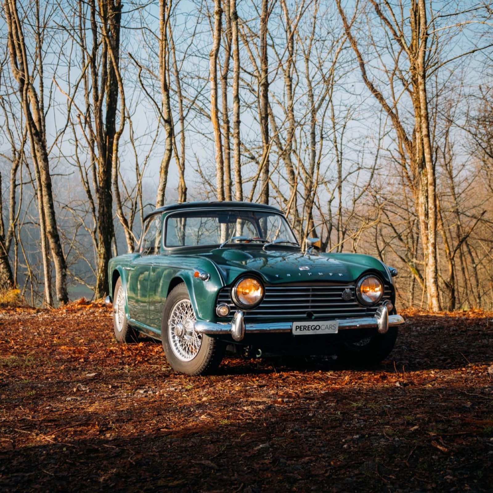 Triumph TR4A IRS