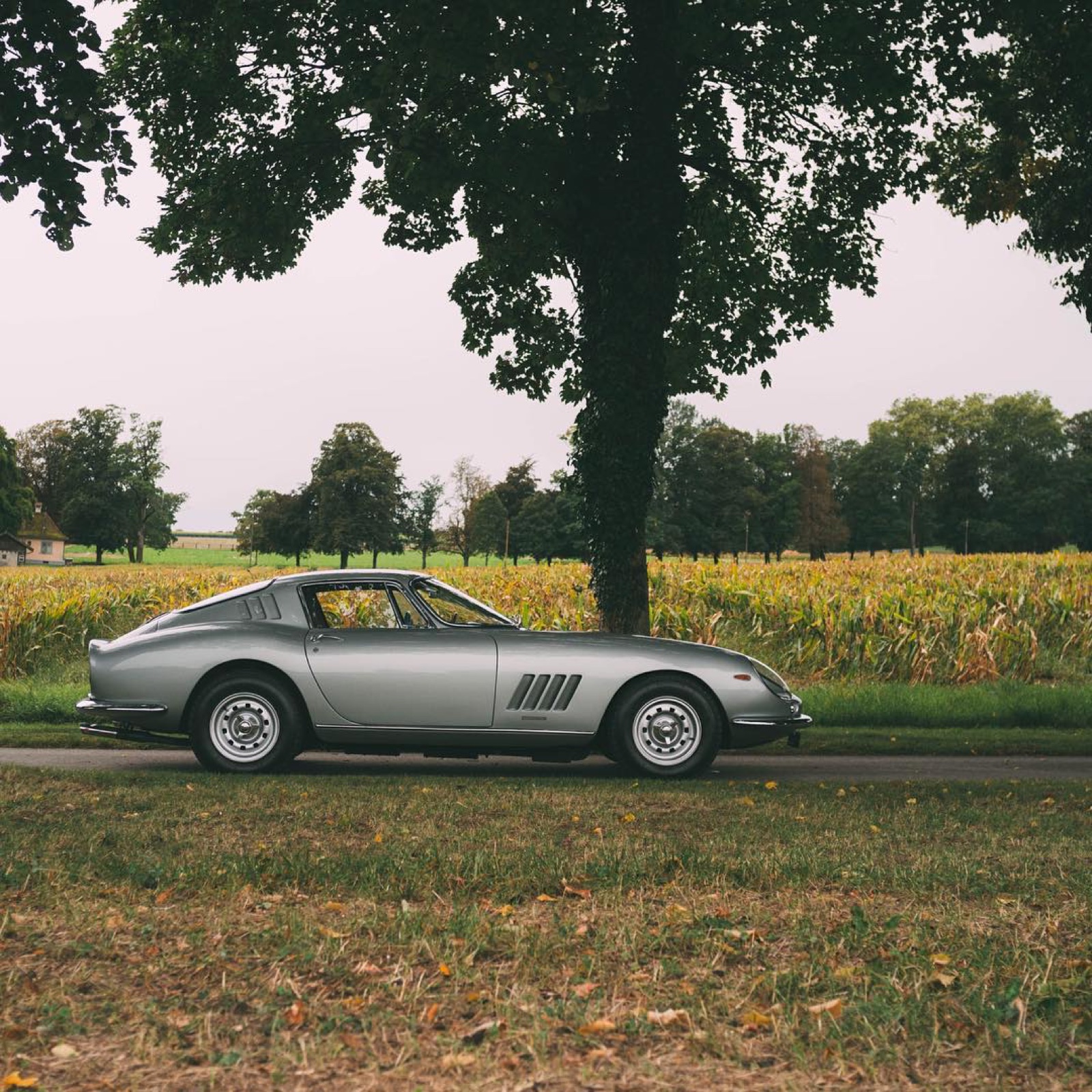 Ferrari 275 GTB/4