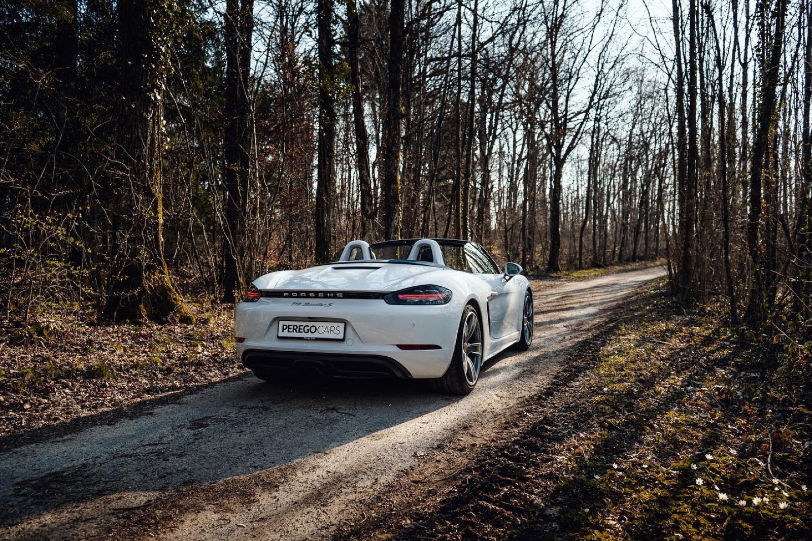 Porsche 718 Boxster S