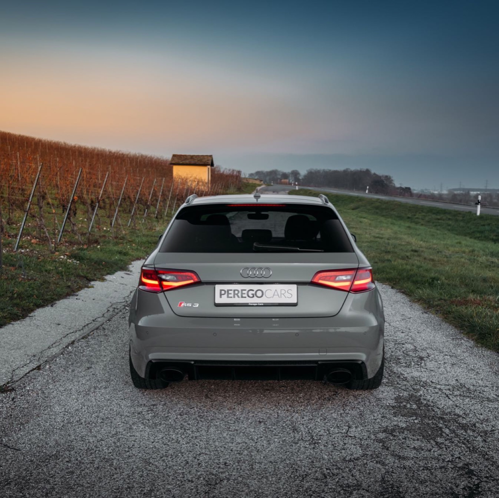 Audi RS3 Sportback (8V)