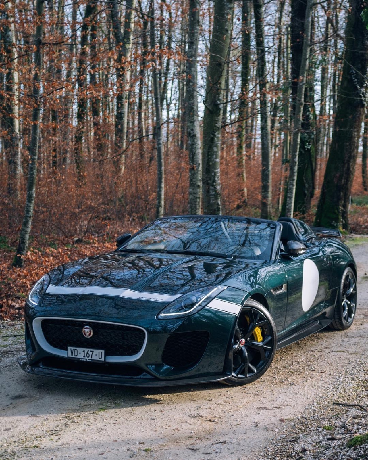 Jaguar F-Type Project 7