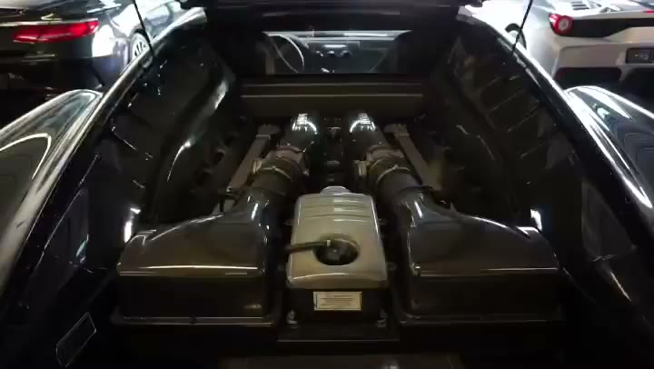 Ferrari F430 Scuderia (compartiment moteur V8)