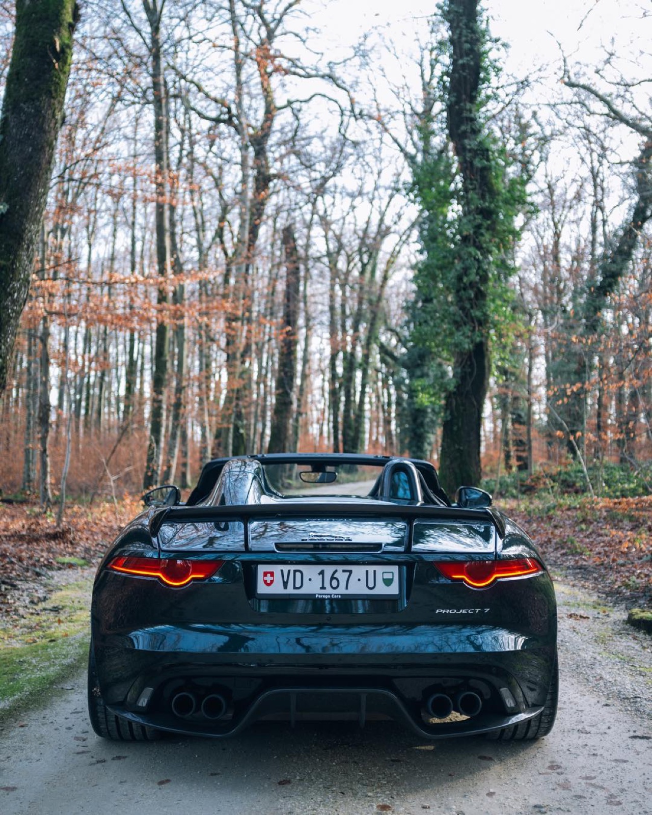 Jaguar F-Type Project 7