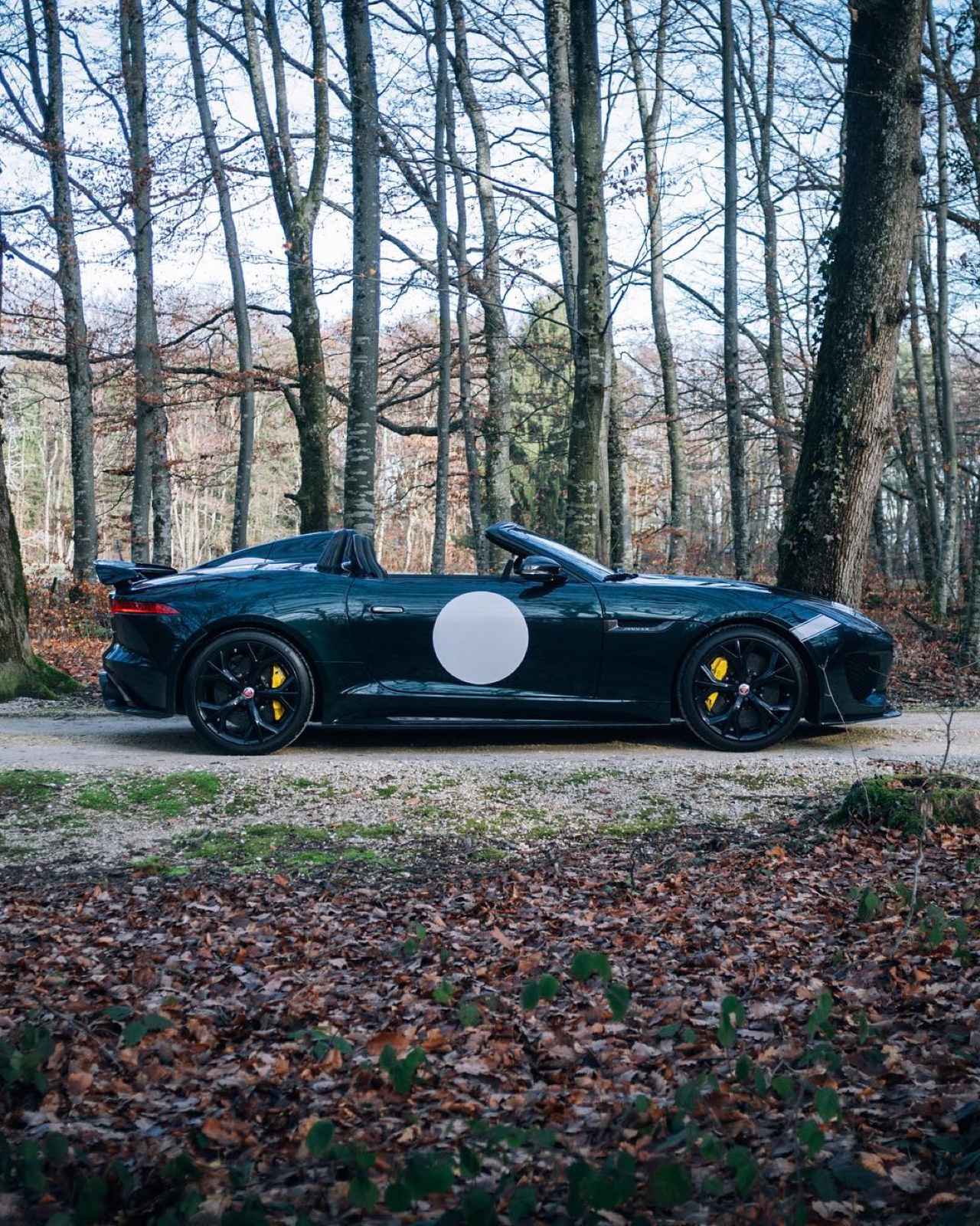 Jaguar F-Type Project 7