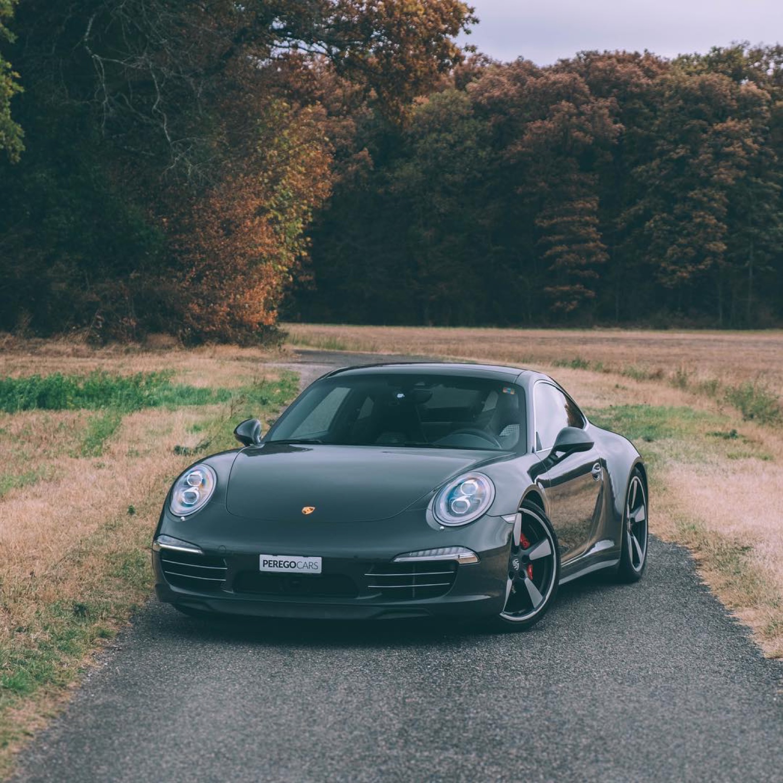 Porsche 911 Carrera S 50 Years Edition (991)