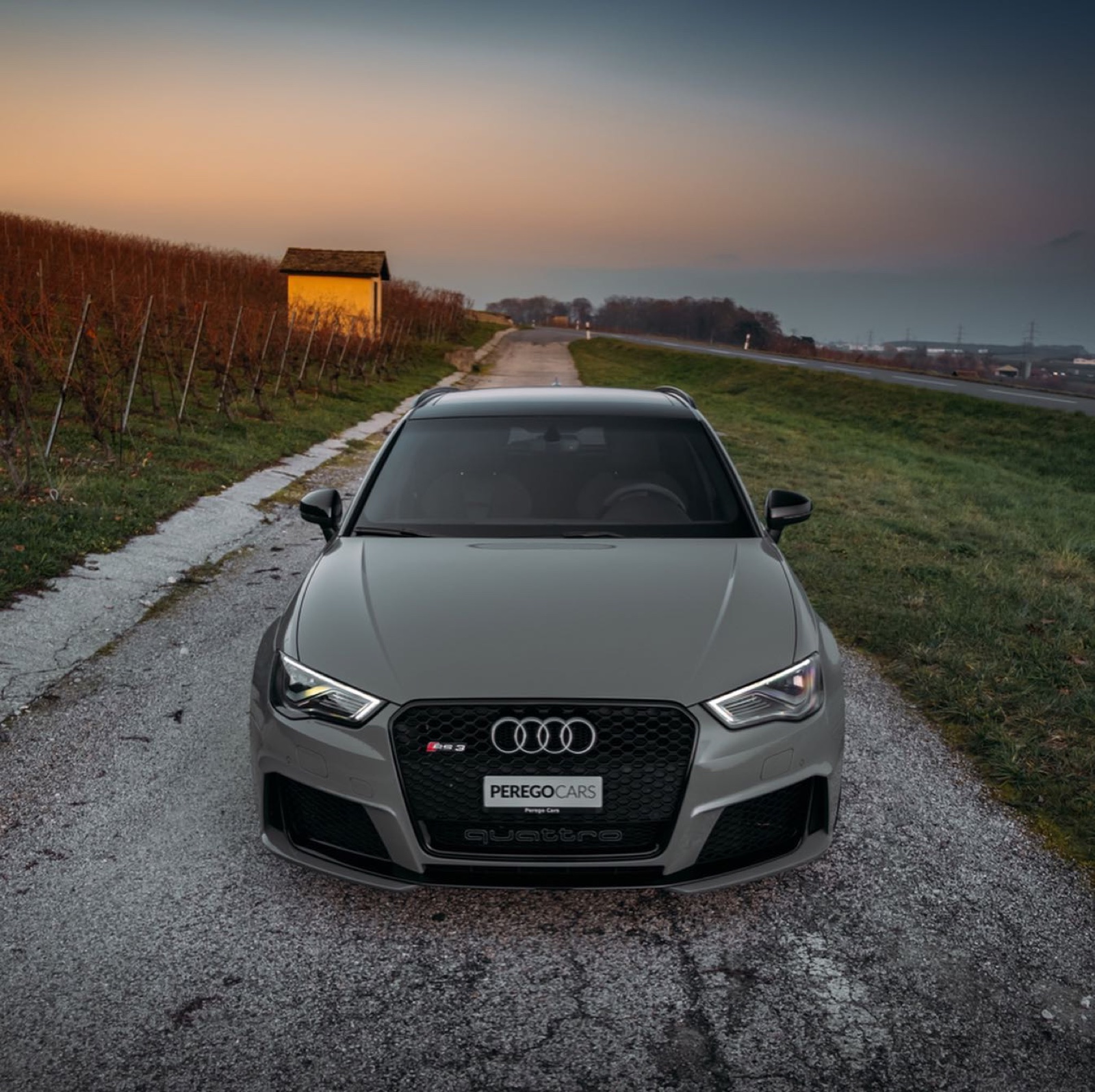 Audi RS3 Sportback (8V)