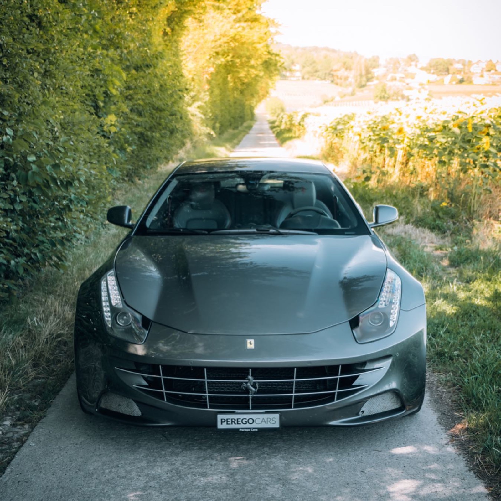 Ferrari FF