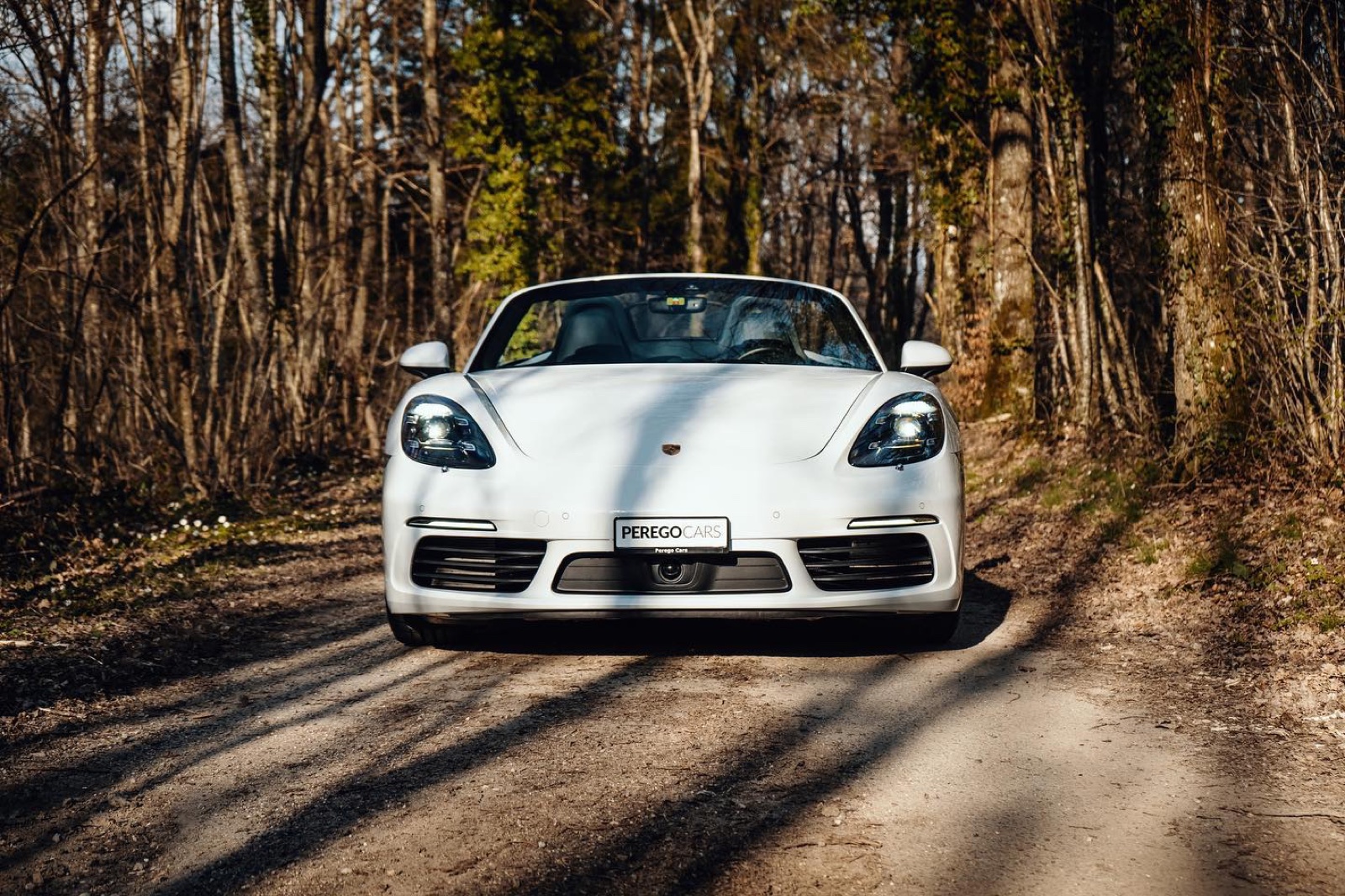 Porsche 718 Boxster S