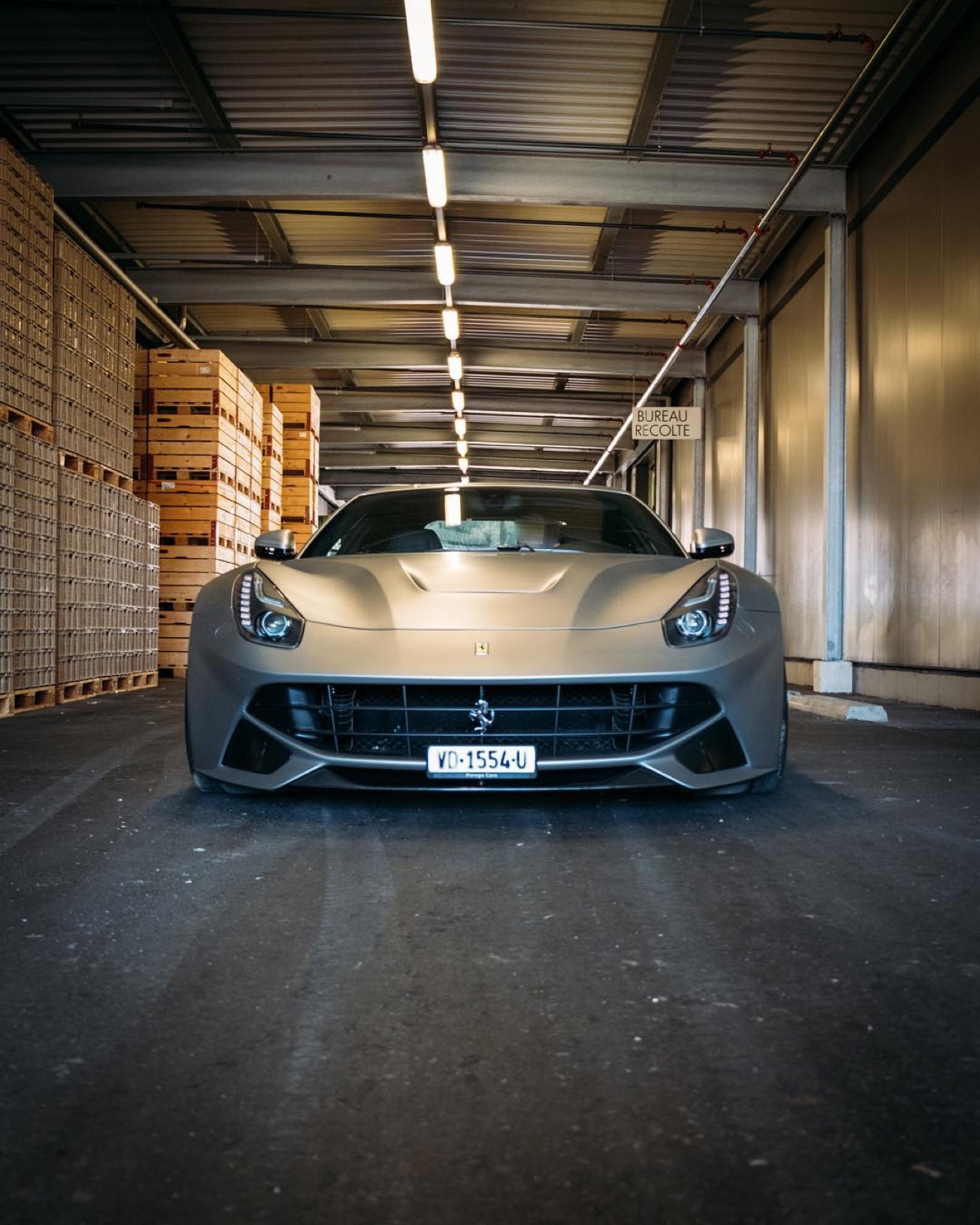Ferrari F12berlinetta (gris mat)