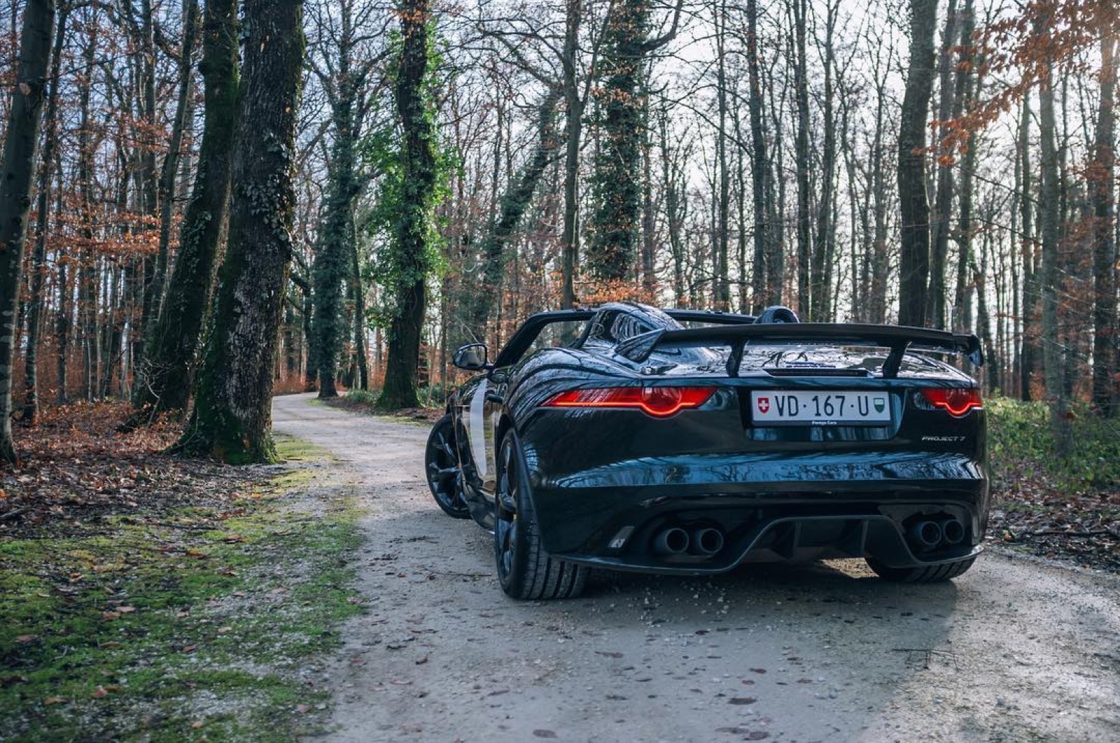Jaguar F-Type Project 7