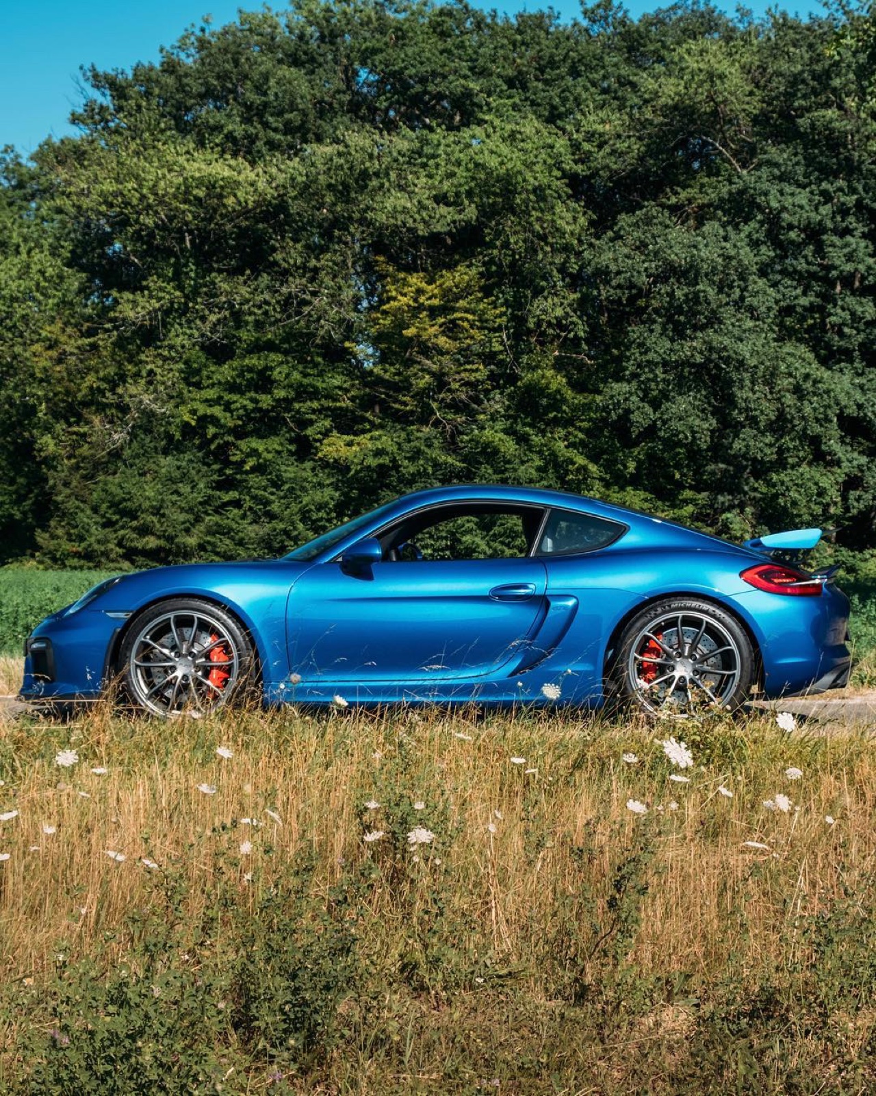 Porsche Cayman GT4 (981)