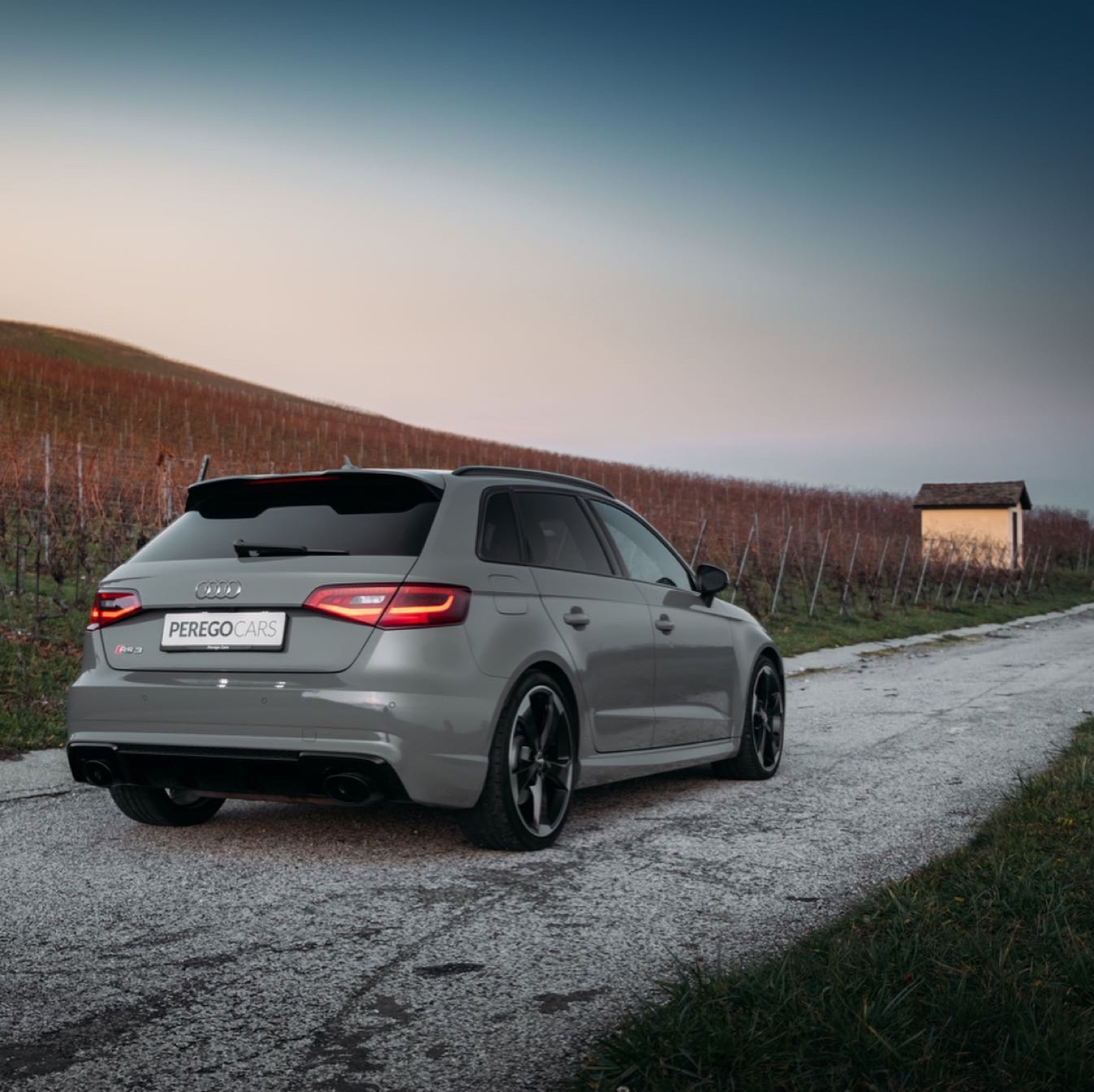 Audi RS3 Sportback (8V)