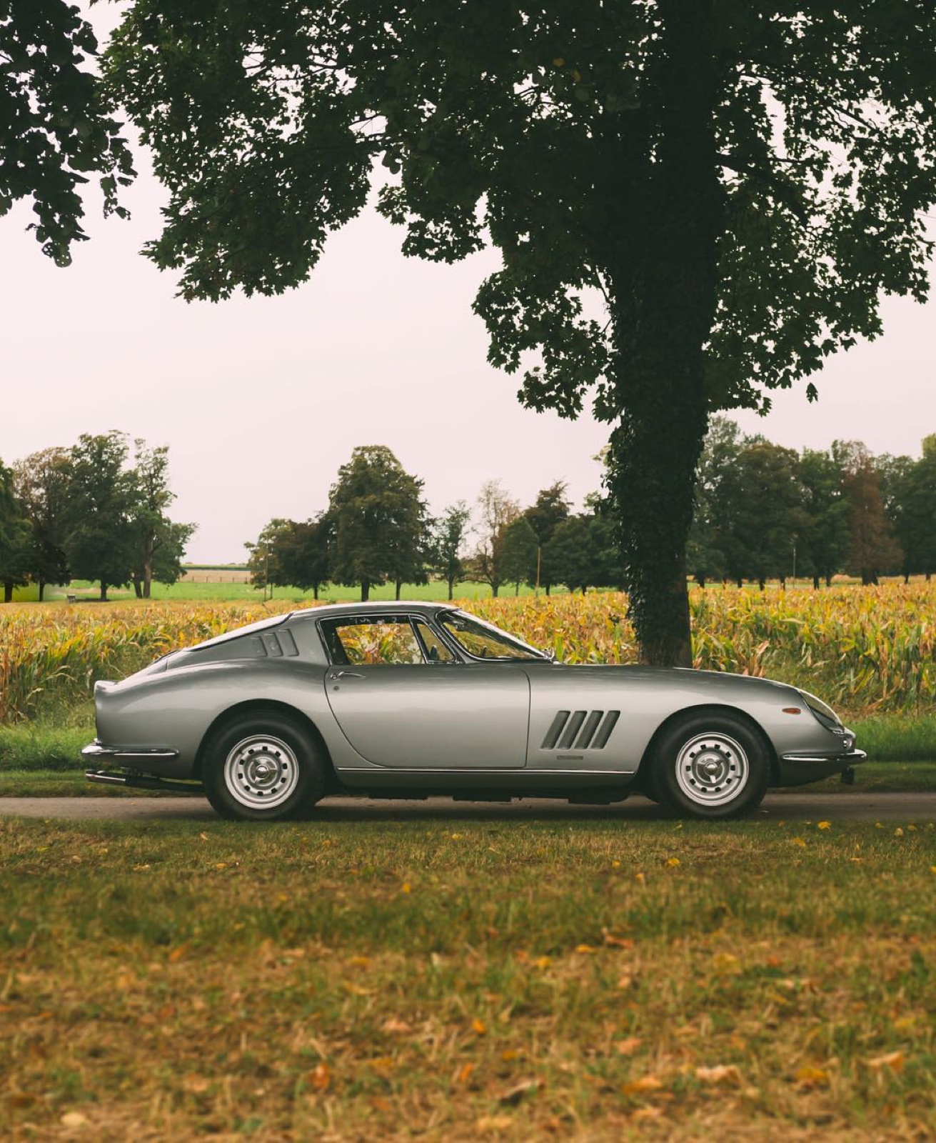 Ferrari 275 GTB