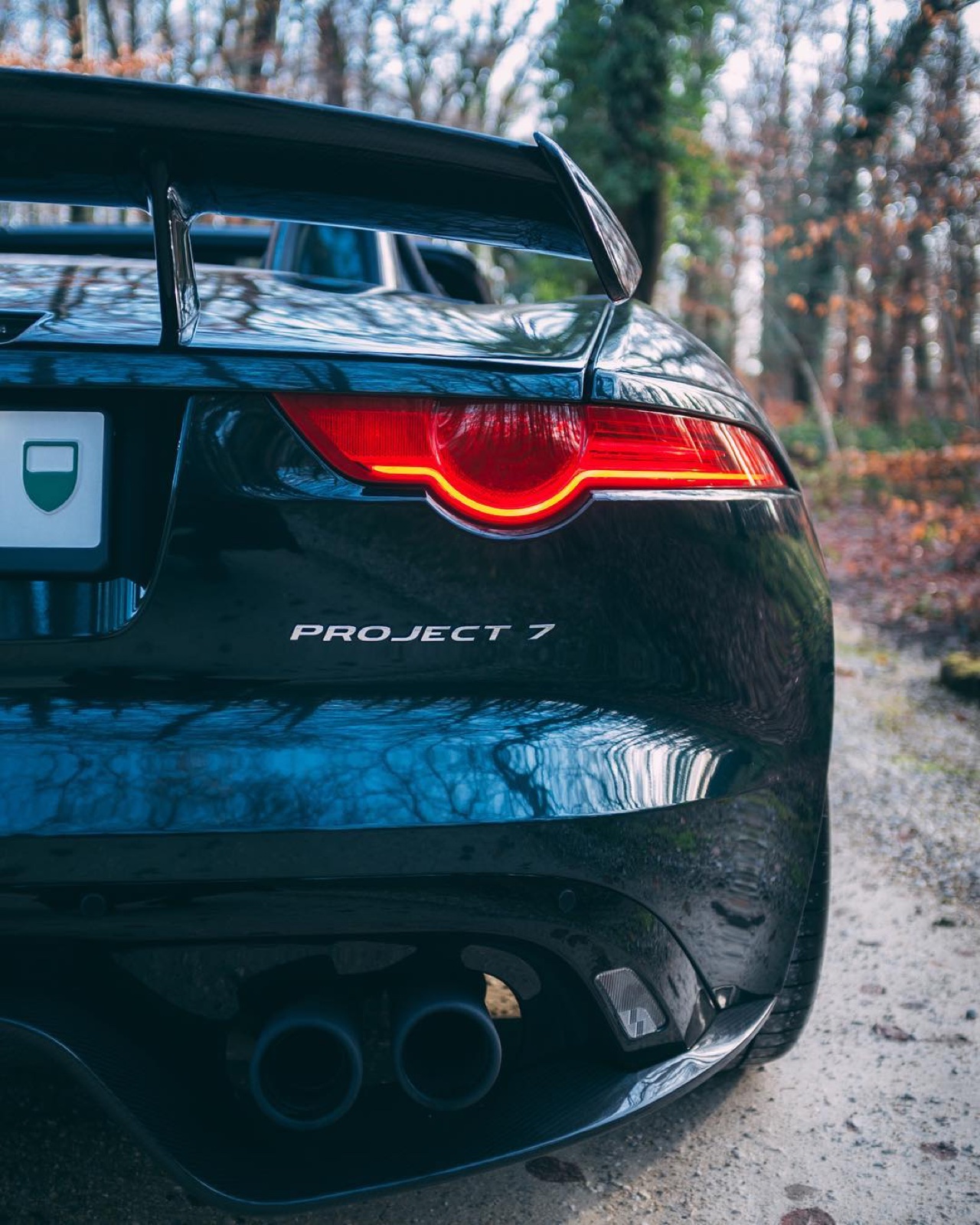 Jaguar F-Type Project 7