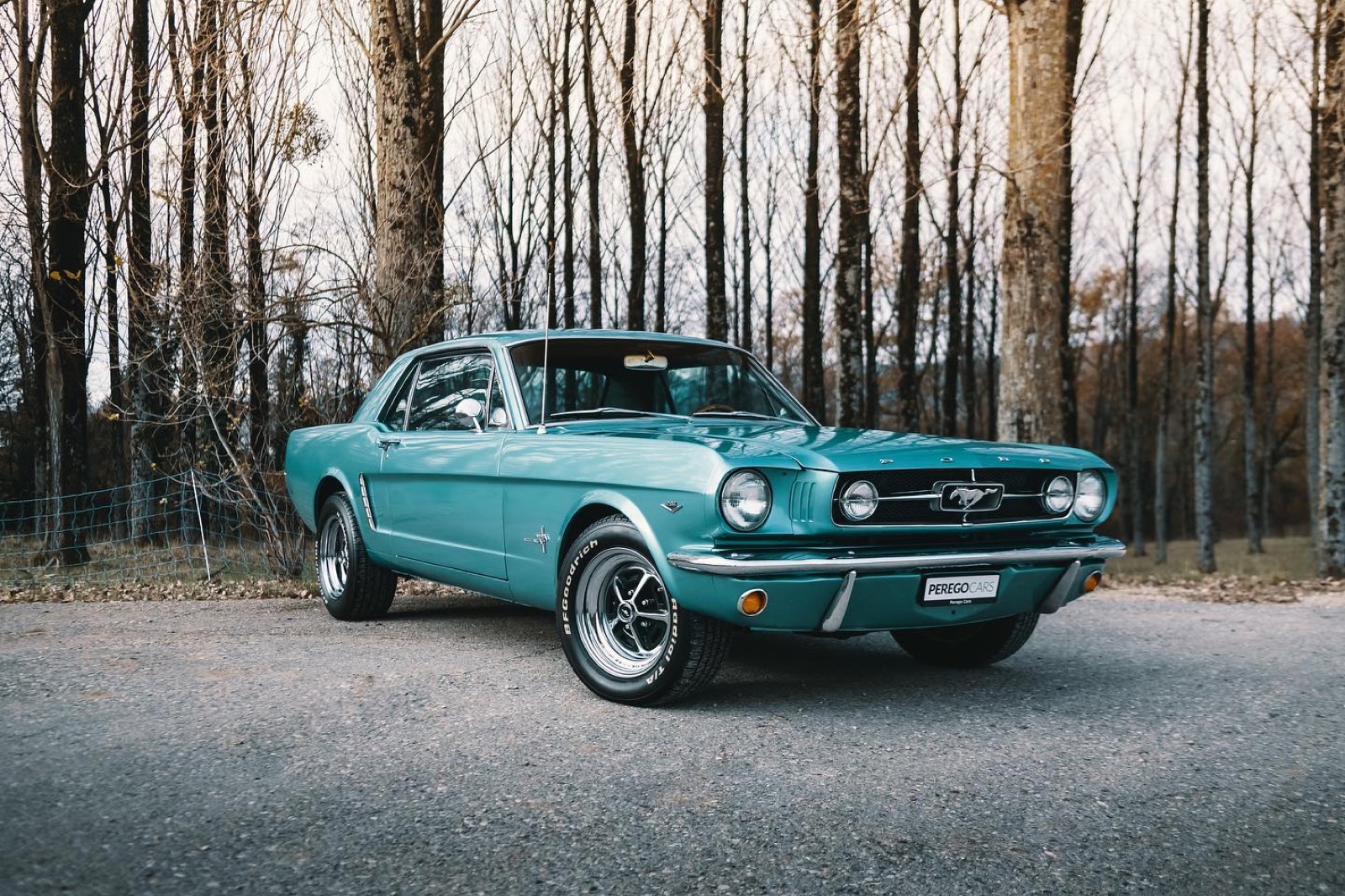 Ford Mustang Coupé (première génération)