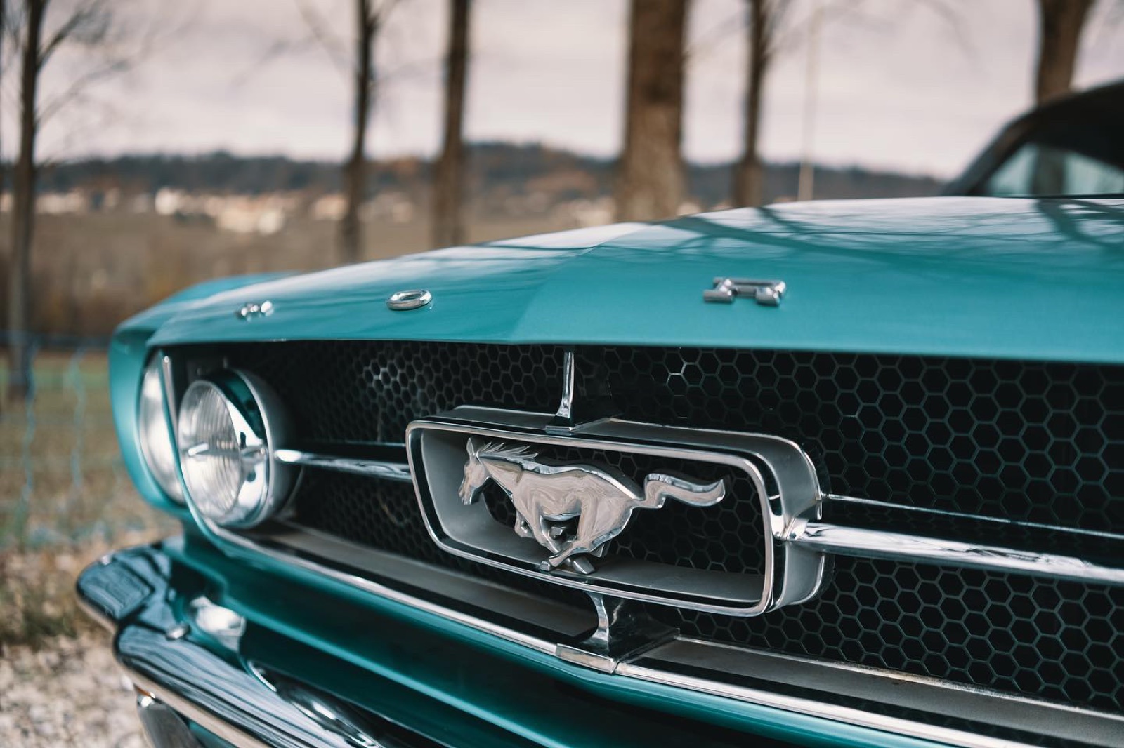 Ford Mustang Coupé (première génération)