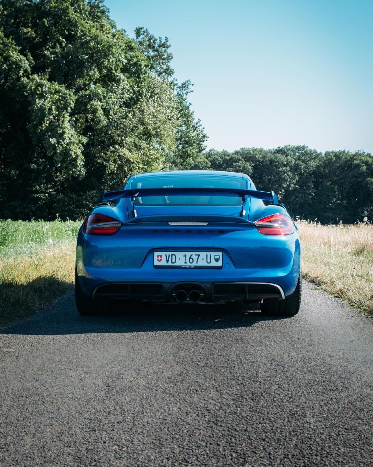 Porsche Cayman GT4 (981)