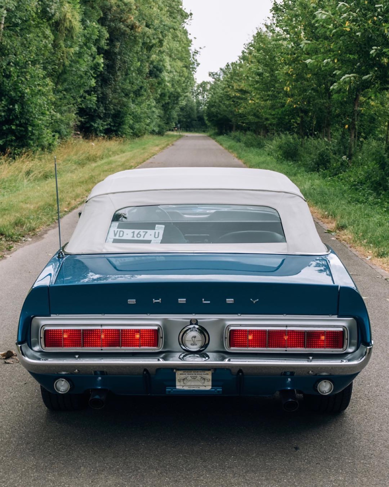Shelby Mustang cabriolet