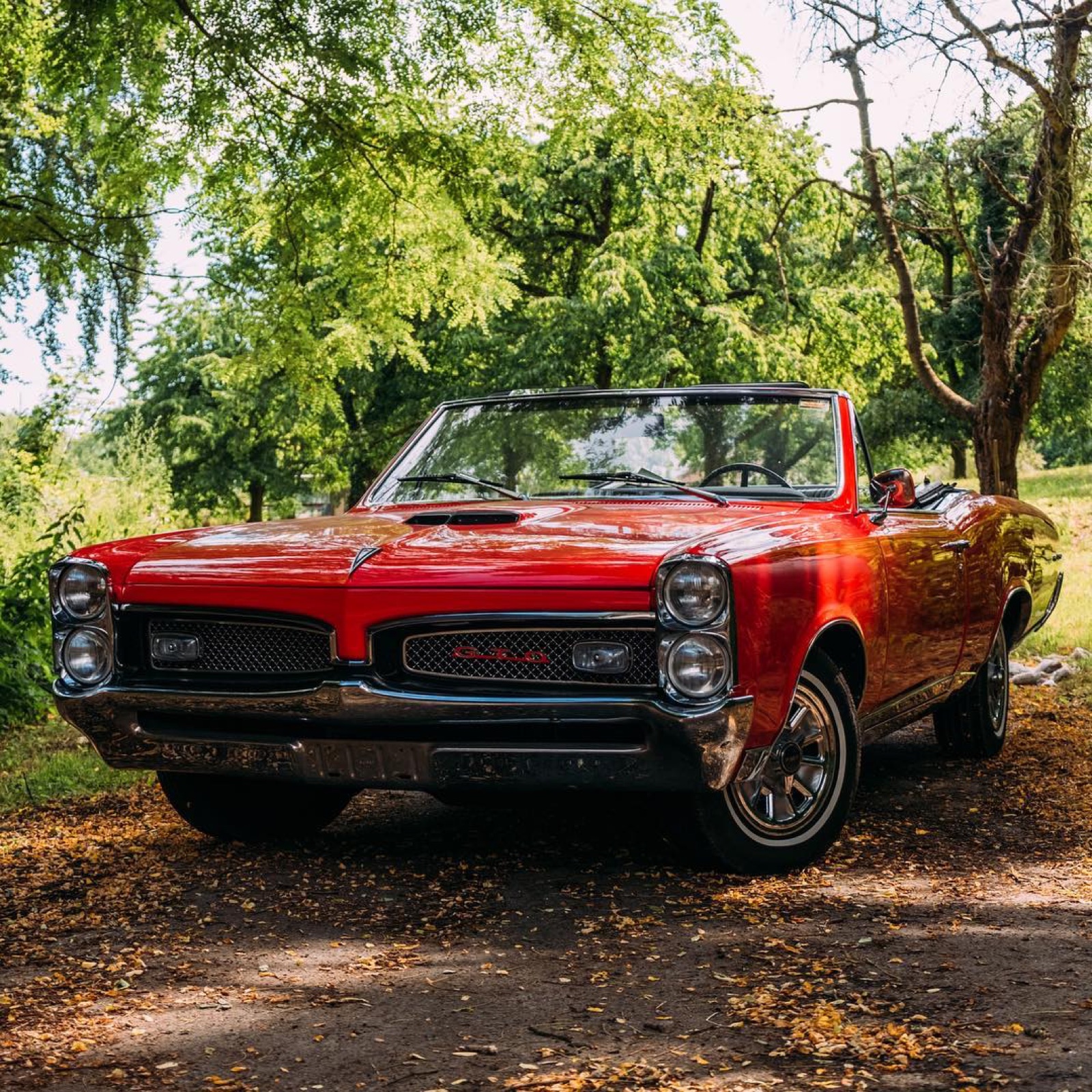Pontiac GTO Convertible 1967
