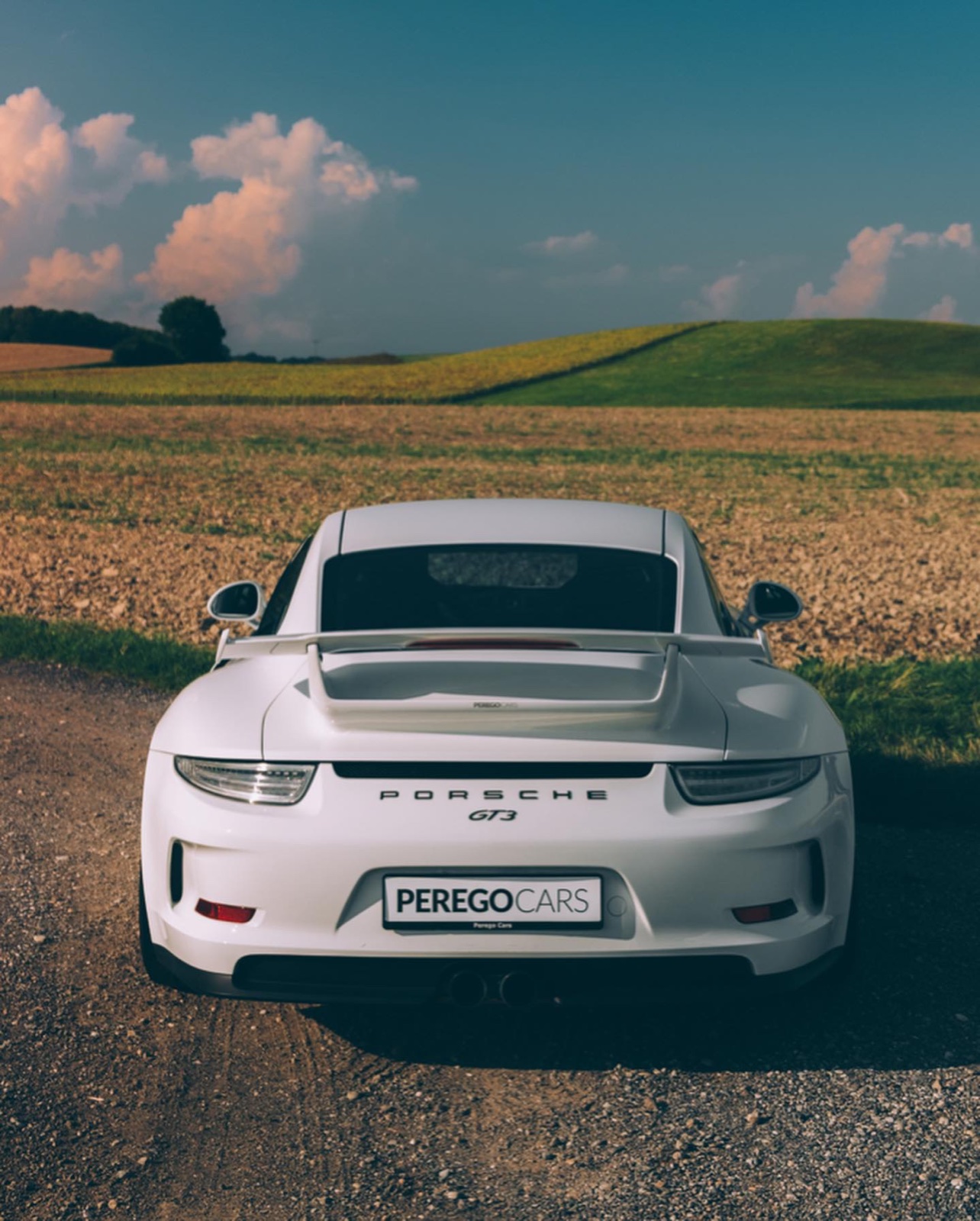 Porsche 911 GT3 (991)