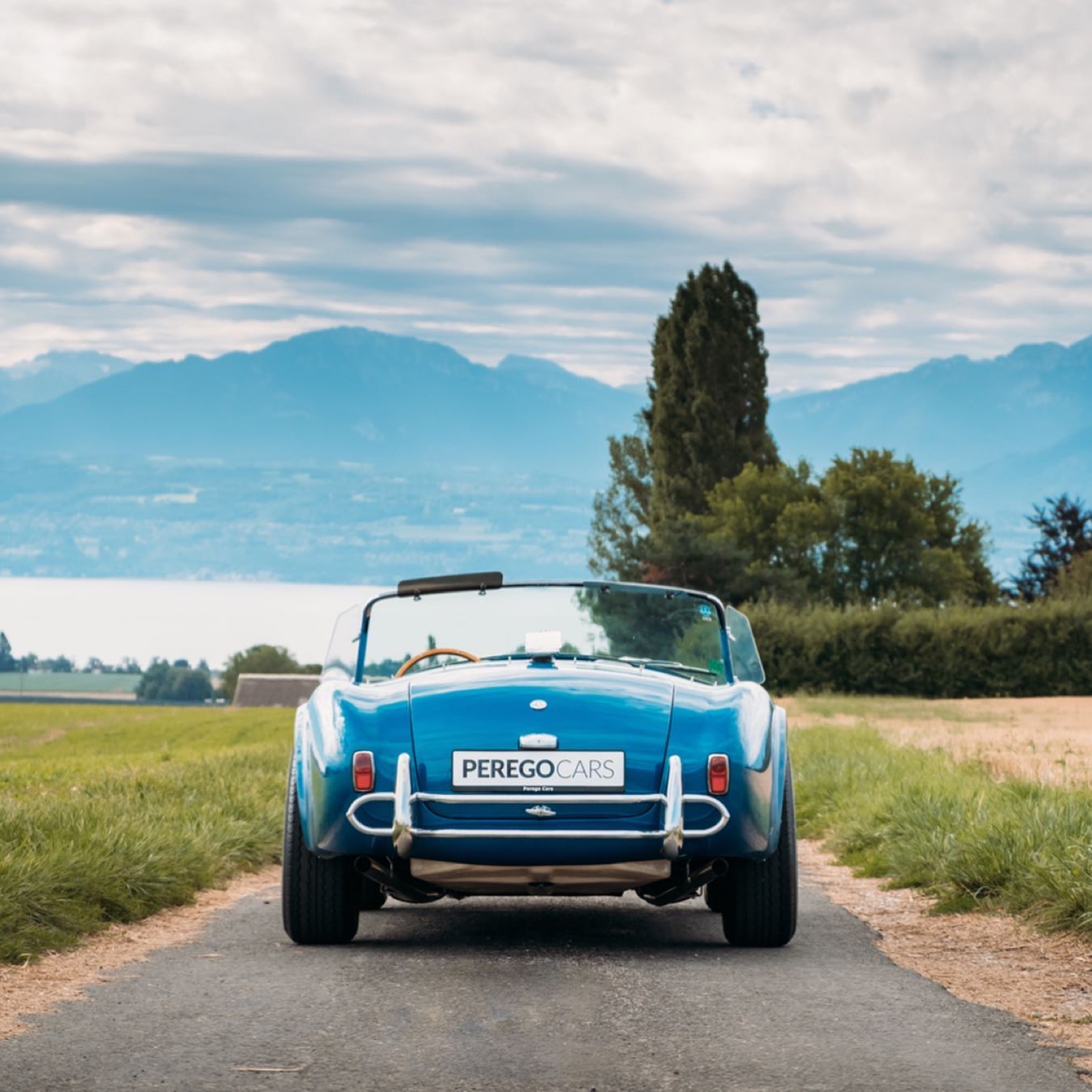 Roadster de type AC Cobra
