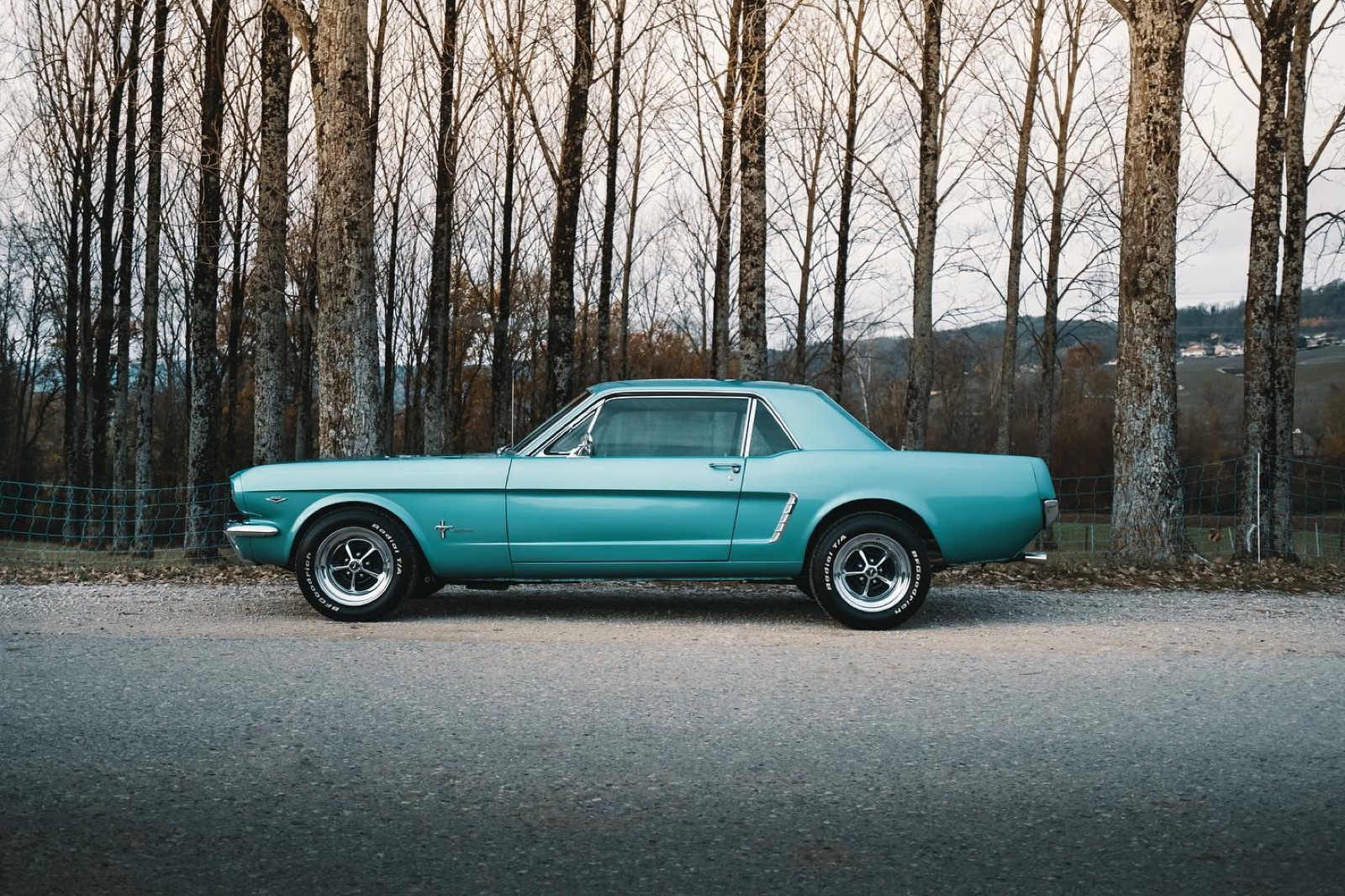 Ford Mustang Coupé (première génération)