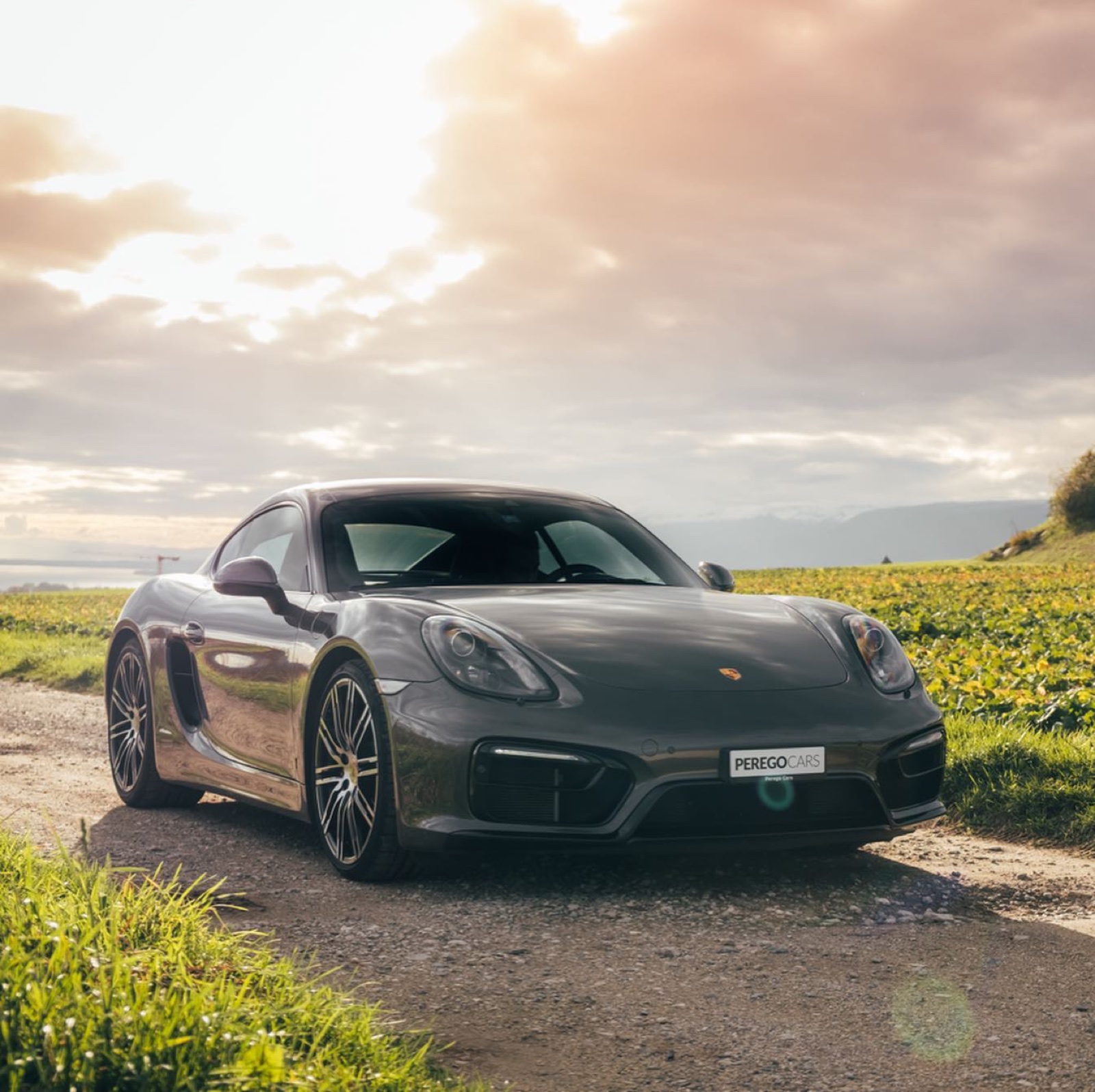 Porsche Cayman GTS (981)